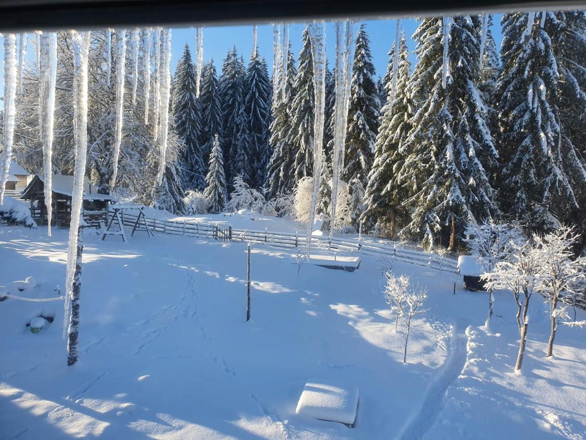 Planinska koliba Ajdanovici Jelovac Nisicka visoravan Olovo  Exteriér fotografie